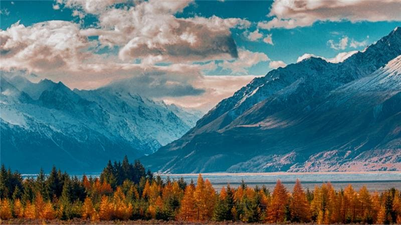 Honeymoon holiday packages India by GetBestTravel
